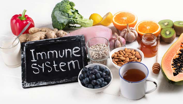 Healthy Immune System