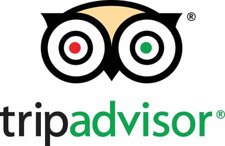 What is TripAdvisor